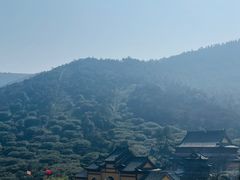 -树山生态村