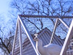 -J Create城市露营咖啡·简餐·宠物(上海动物园店)