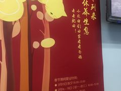 -纳吉亚猫专科动物诊疗中心(蒋宅口分院)