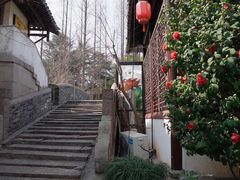 -上海青龙寺