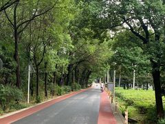-张鸟园农家乐(张鸟园店)
