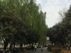 -西安汉城湖景区