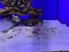 -青岛海底世界-水族馆