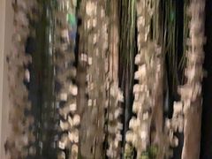 -益健·足疗汗蒸SPA(芙蓉广场店)