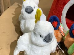 -ZOO COFFEE动物园咖啡(红山森林动物园店)