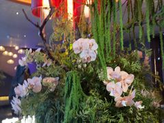 -唐宫足道·SPA·住宿24H会所(木渎店)