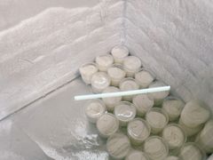 -洪馨椰子