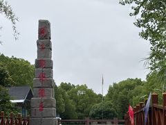 -中国扬子鳄村