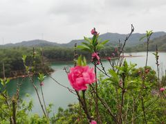 -红花湖景区