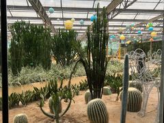 -南宫五洲植物乐园