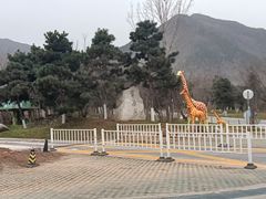 -西安秦岭野生动物园
