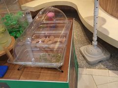 -云海肴云南菜(青浦宝龙店)