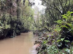 -怀托摩萤火虫洞