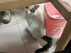 -清真·白家牛肉罩火烧老店(育才街店)