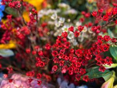 -爱尚幸福鲜花(上地实体店)