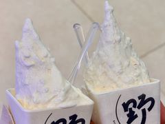 -野人先生现做冰淇淋(北京环宇荟店)