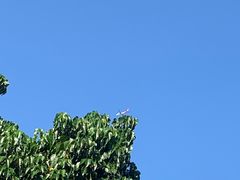 -水厰(金花街店)