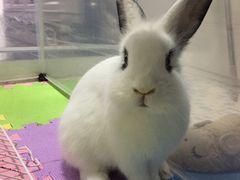 -雨林宠物医院 非犬猫异宠专科
