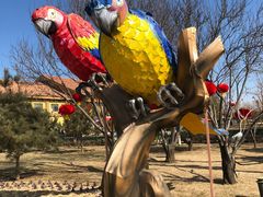 -南宫五洲植物乐园