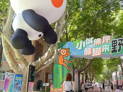 -西安电影制片厂