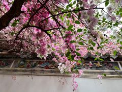 -深圳国际园林花卉博览园