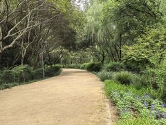 -西湖风景区-江洋畈生态公园