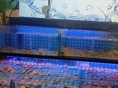 -透明思烤·自助烤肉海鲜火锅(东部星悦天地店)