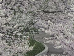 -杭州少年儿童公园