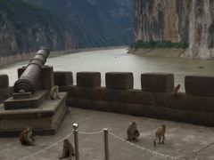 -白帝城·瞿塘峡景区