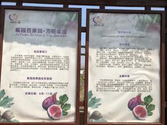 -菊园百果园
