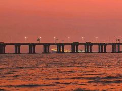 -宝安西湾红树林湿地公园