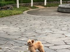 -西安世博园
