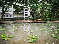 -香港大学