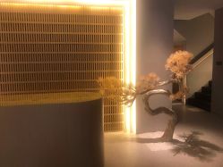 -太乙康·中式美养空间