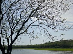 -盘龙城国家考古遗址公园