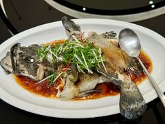 -金汇酒楼(中山东区店)