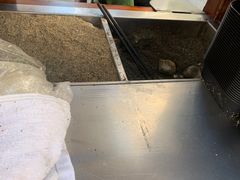-叶氏麻糍(鼓浪屿店)