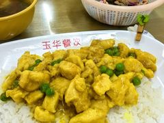 咖喱鸡丁饭-玉华饮食店(茅台路店)