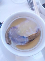 -皇冠假日酒店宴会厅