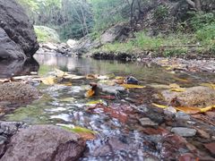 -云岫谷游猎自然风景区