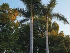 -广州市白云山风景名胜区