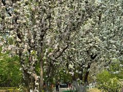 -元大都城垣遗址公园