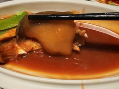 -沈灶河豚宴·河豚融合餐厅(汉中路店)