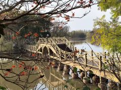 -西昌邛海湿地