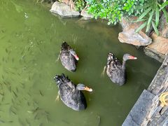 -珠海圆明新园