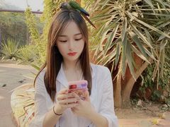 -灵玲国际马戏城