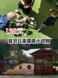 -萌宠亲子动物乐园(槐房万达店)