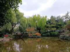-秋霞圃