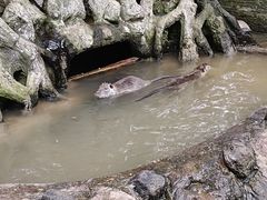 -海南热带野生动植物园