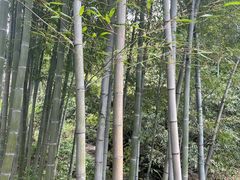 -众神白水涧景区